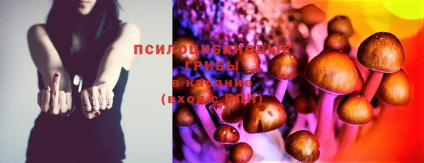 герыч Пестово