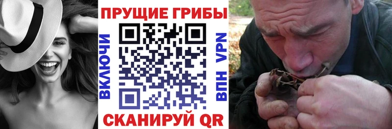 мориарти Telegram  купить наркотики сайты  Гурьевск  Псилоцибиновые грибы ЛСД 