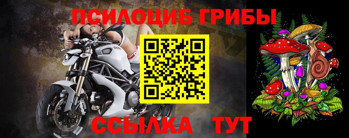 Псилоцибиновые грибы прущие грибы  Гурьевск 