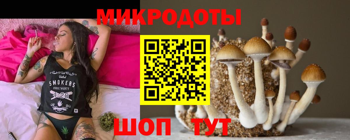 Галлюциногенные грибы мицелий Гурьевск