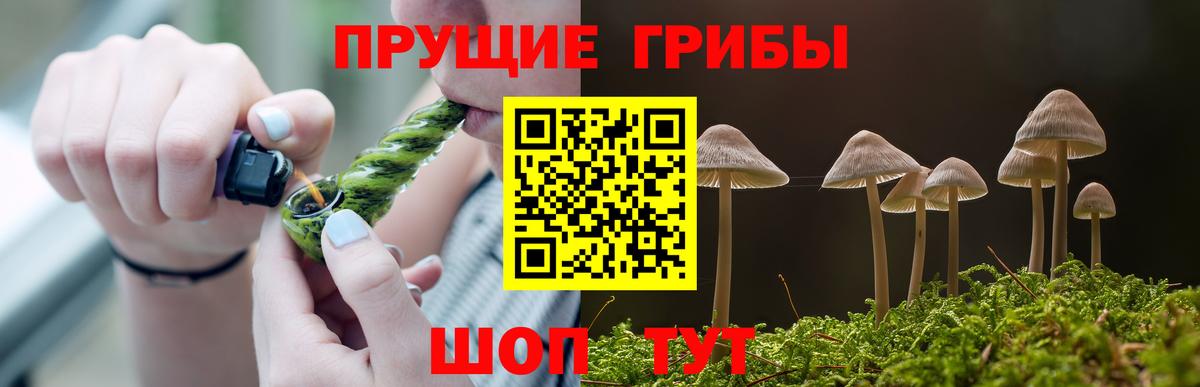 Псилоцибиновые грибы Psilocybe  Псилоцибиновые грибы прущие грибы  Вход с VPN  Гурьевск 